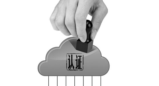 “工業(yè)云服務(wù)平臺”助中小企業(yè)借“云”而起